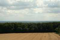 Sommerfest Baumberge 2010.1 618